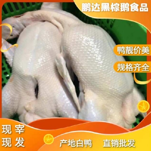 广东热鲜鸭肉 快递包邮破损包赔