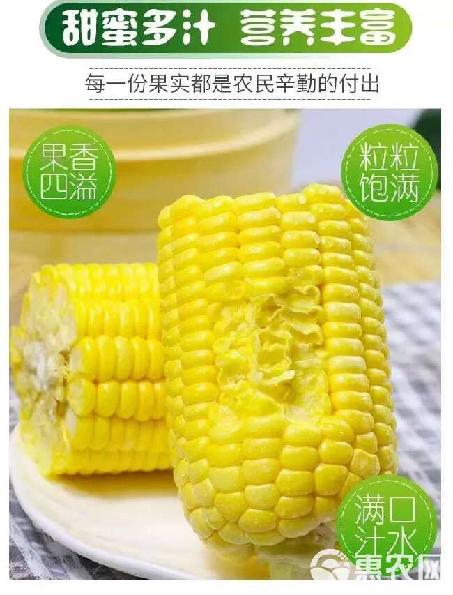 广西新鲜甜玉米带皮发货