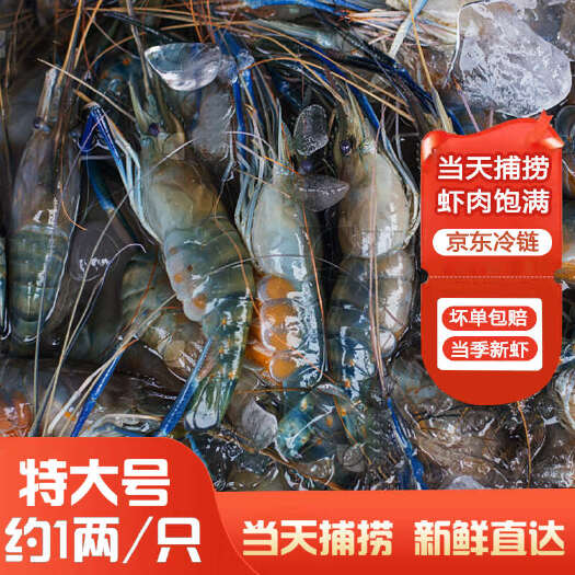 佛山罗氏虾沼虾活冻新鲜大头虾超大虾巨型海鲜水产虾类