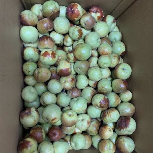 麦盖提县鲜枣