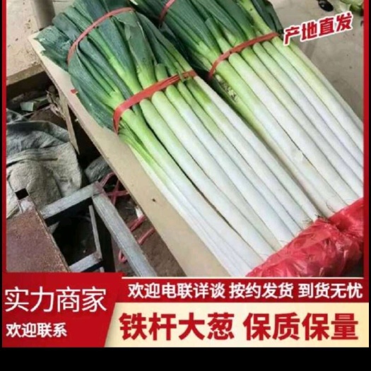 肇东市铁杆大葱