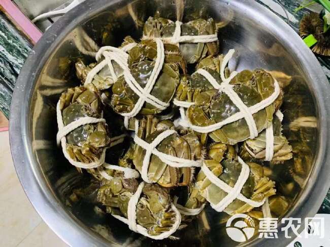 中秋优惠苏霸王2598型买一送一公4两母3两10只装礼品