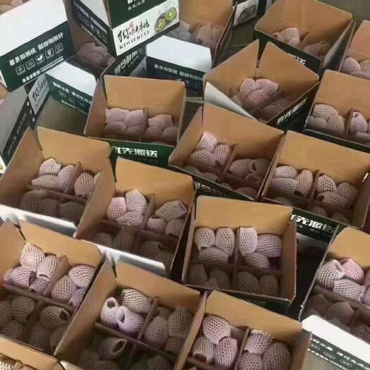 眉县徐香猕猴桃小果60~80克100元3箱毛重10斤