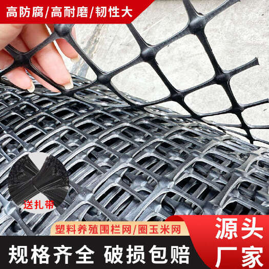 塑料网围栏养殖护网鸡鸭鹅围栏玉米菜园围栏塑料网