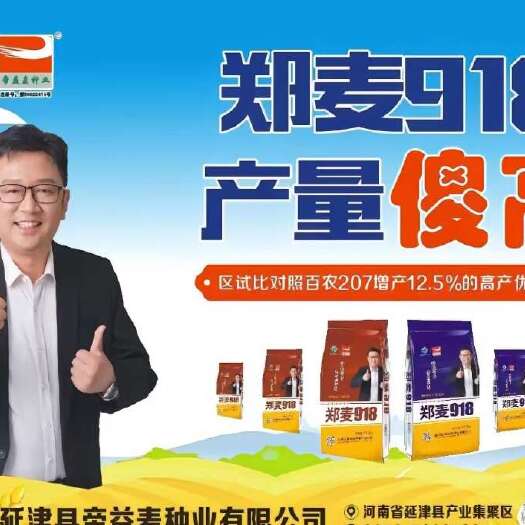 郑麦918小麦种子:抗病耐春倒寒原厂原种假一赔十