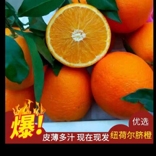 秭归县纽荷尔脐橙，味多味甜个大皮簿果面靓丽果园看货现定现采