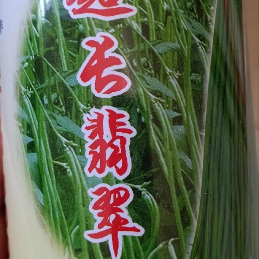 济南长豆角种子批发