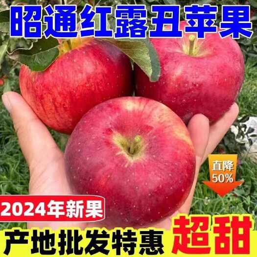 红露苹果   云南高原早熟红露苹果