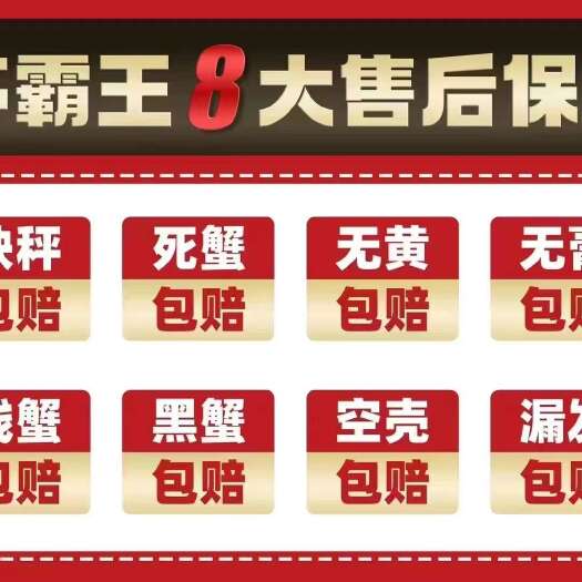 中秋优惠苏霸王2598型买一送一公4两母3两10只装礼品