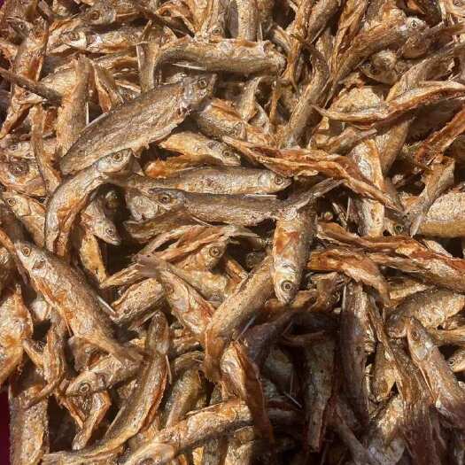 佛山油炸万绿河白条鱼 即食鱼干 现炸发货 白条鱼干