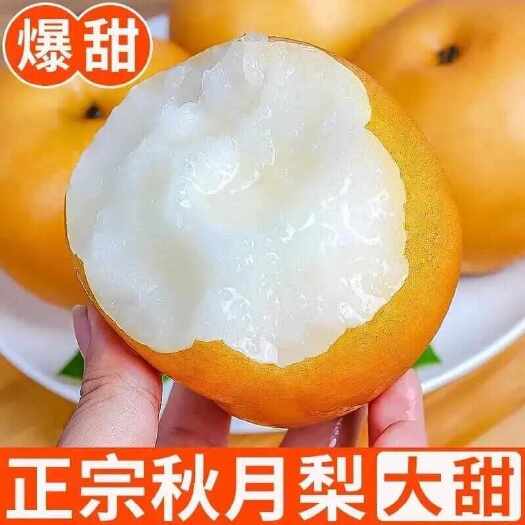 2024年鲜果正品秋月梨新鲜水果脆甜薄皮大果农家现摘