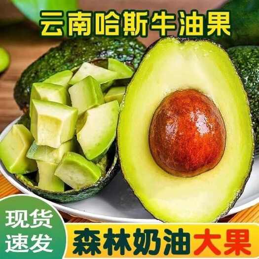 云南哈斯牛油果新鲜现摘 宝宝辅食牛油果一件代发 批发