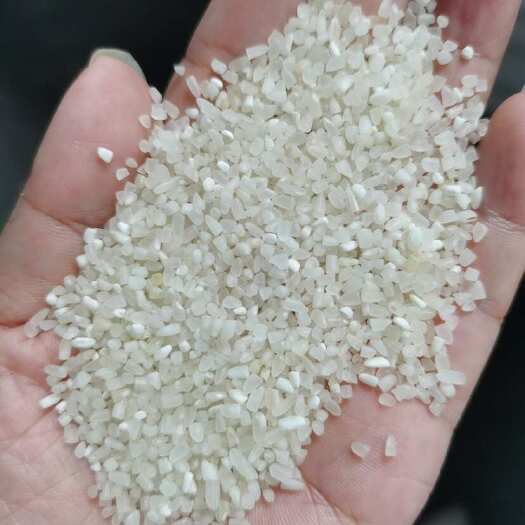 荆州中碎