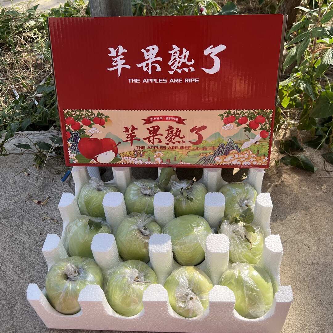 【山东青森苹果 水蜜桃苹果】头茬青苹果