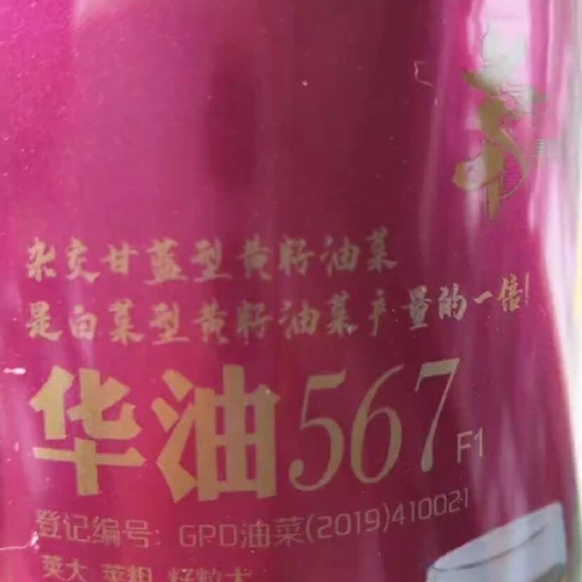 华油567品种。出油率佳。抗倒伏。抗重茬。荚多饱满