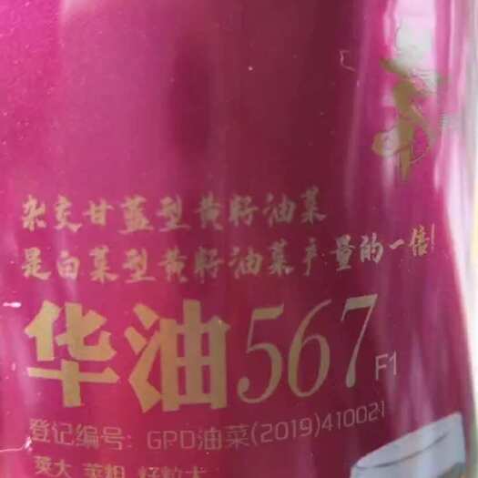 夏邑县华油567品种。出油率佳。抗倒伏。抗重茬。荚多饱满