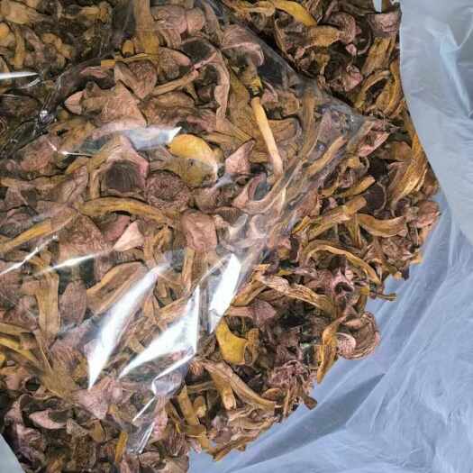 赤城縣紅蘑小丁精品烘干