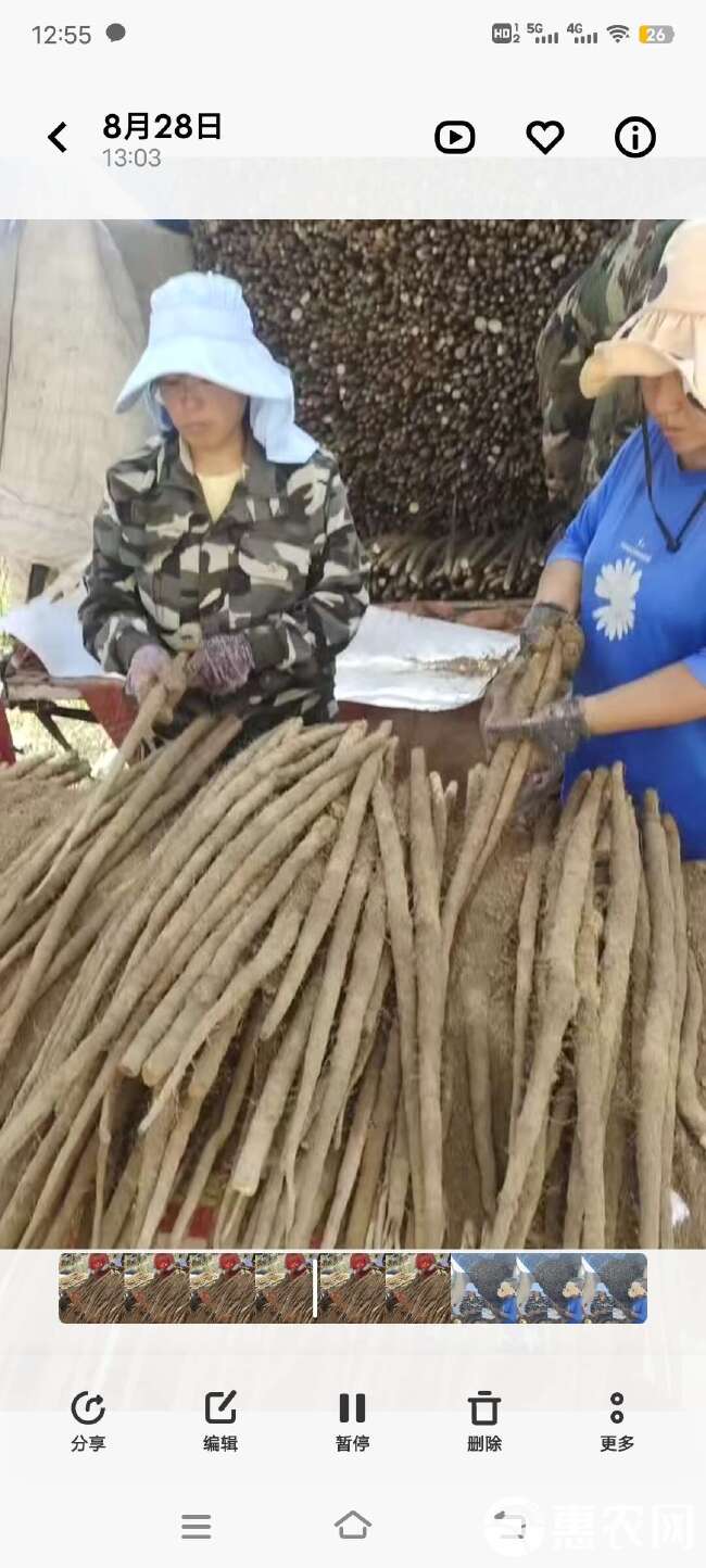 河北铁棍山药