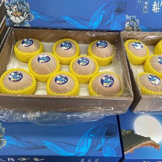 赵县梨中爱马仕 中秋送礼 秋月梨 一件也是批发价