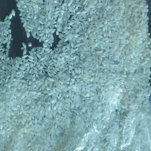 荆州饭堂米