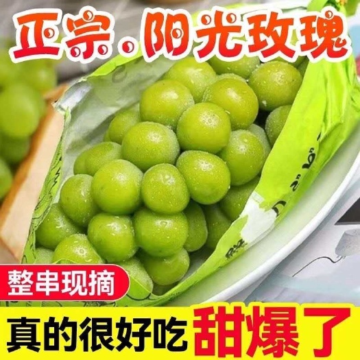 阳光玫瑰葡萄晴王大果带箱5斤装一件代发包邮新鲜现摘整箱批发