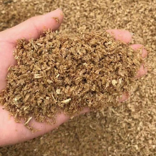 建瓯市啤酒糟（脱水细糟）