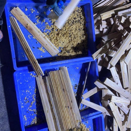 青铜峡市黑水忙虫卵每天大量出！
