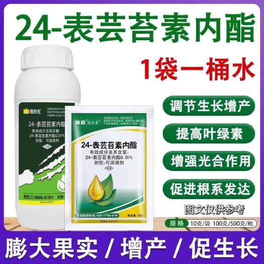 24表芸苔素内脂，调节生长保花保果 膨大果实叶片浓绿根系发达