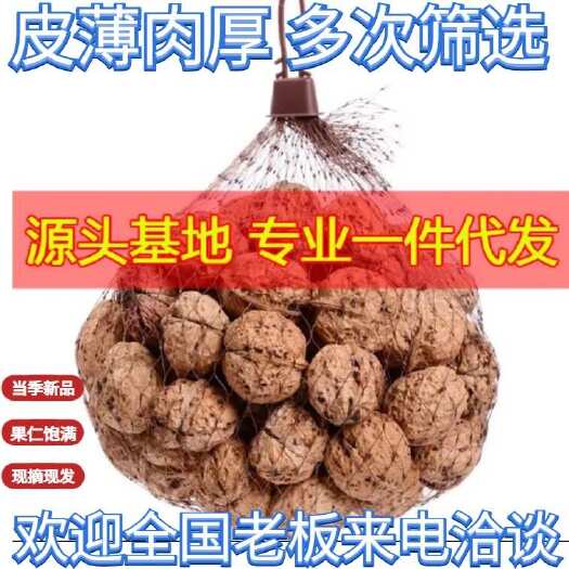 漾濞县核桃一件代发 欢迎咨询
