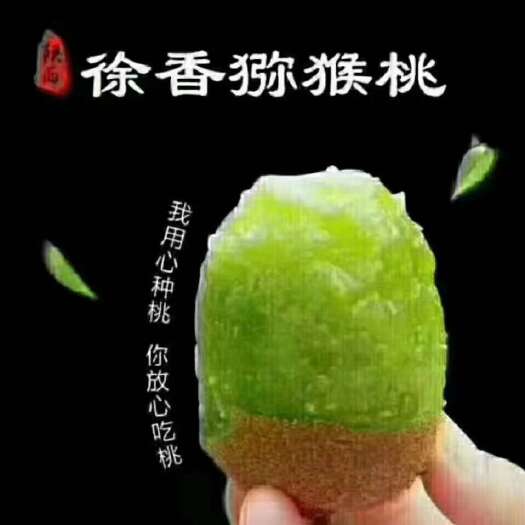 眉县陕西眉县徐香猕猴桃
