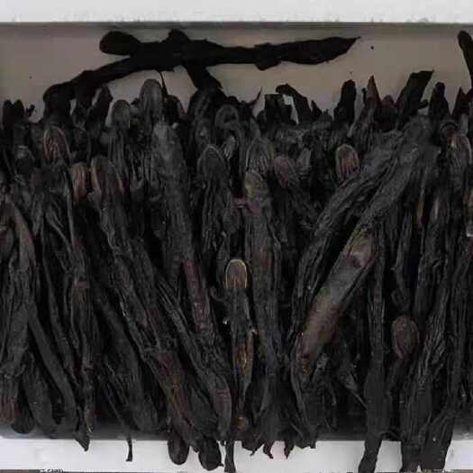 亳州中药材娃娃鱼干中草药羌活鱼杉木鱼白龙小鲵科大鲵接骨丹