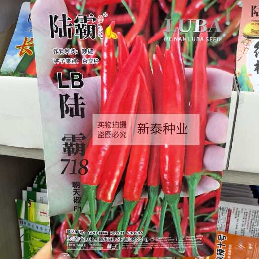 淮安陆霸718朝天椒种籽中熟单生采收期长辣味强口感好朝天椒小米椒
