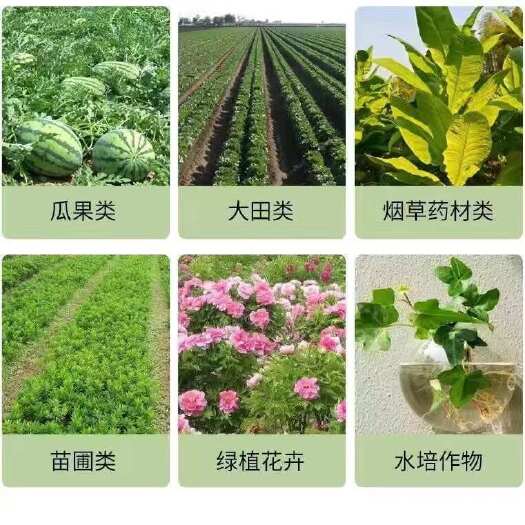 恩平市水溶肥通用型花卉瓜果叶面水溶性肥料