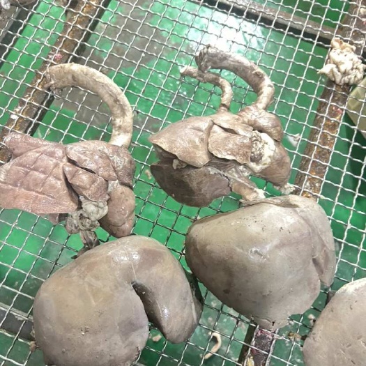 大厂县羊心肝肺 八成熟 羊汤馆