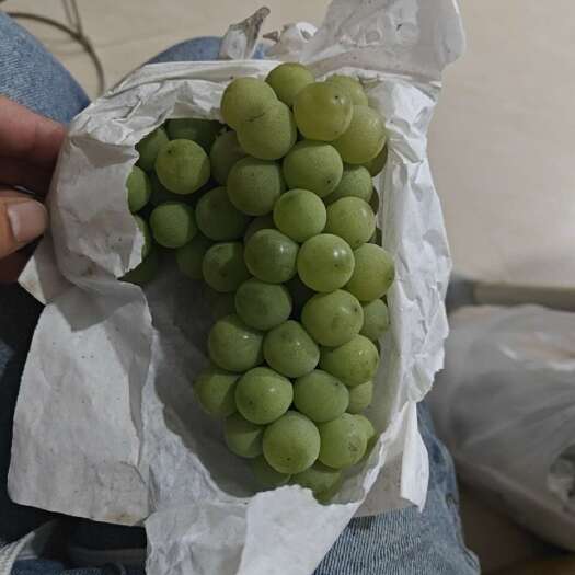 昆明水晶葡萄还要大量