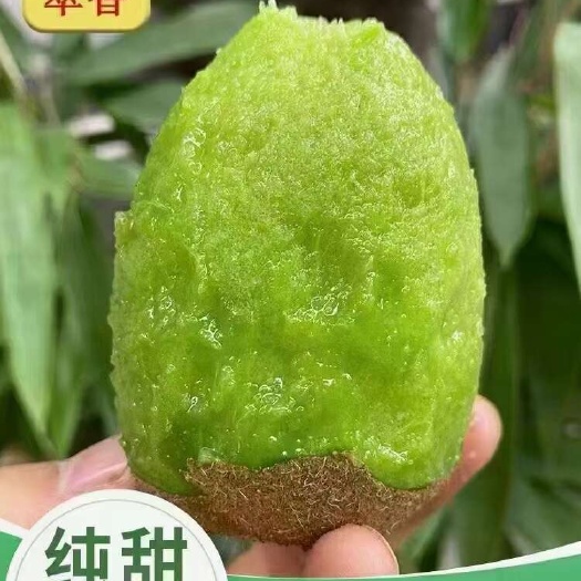 翠香猕猴桃周至猕猴桃中秋水果