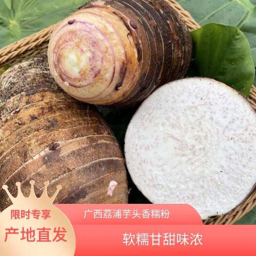 桂林荔浦芋头广西荔浦芋桂林大芋头一件代发