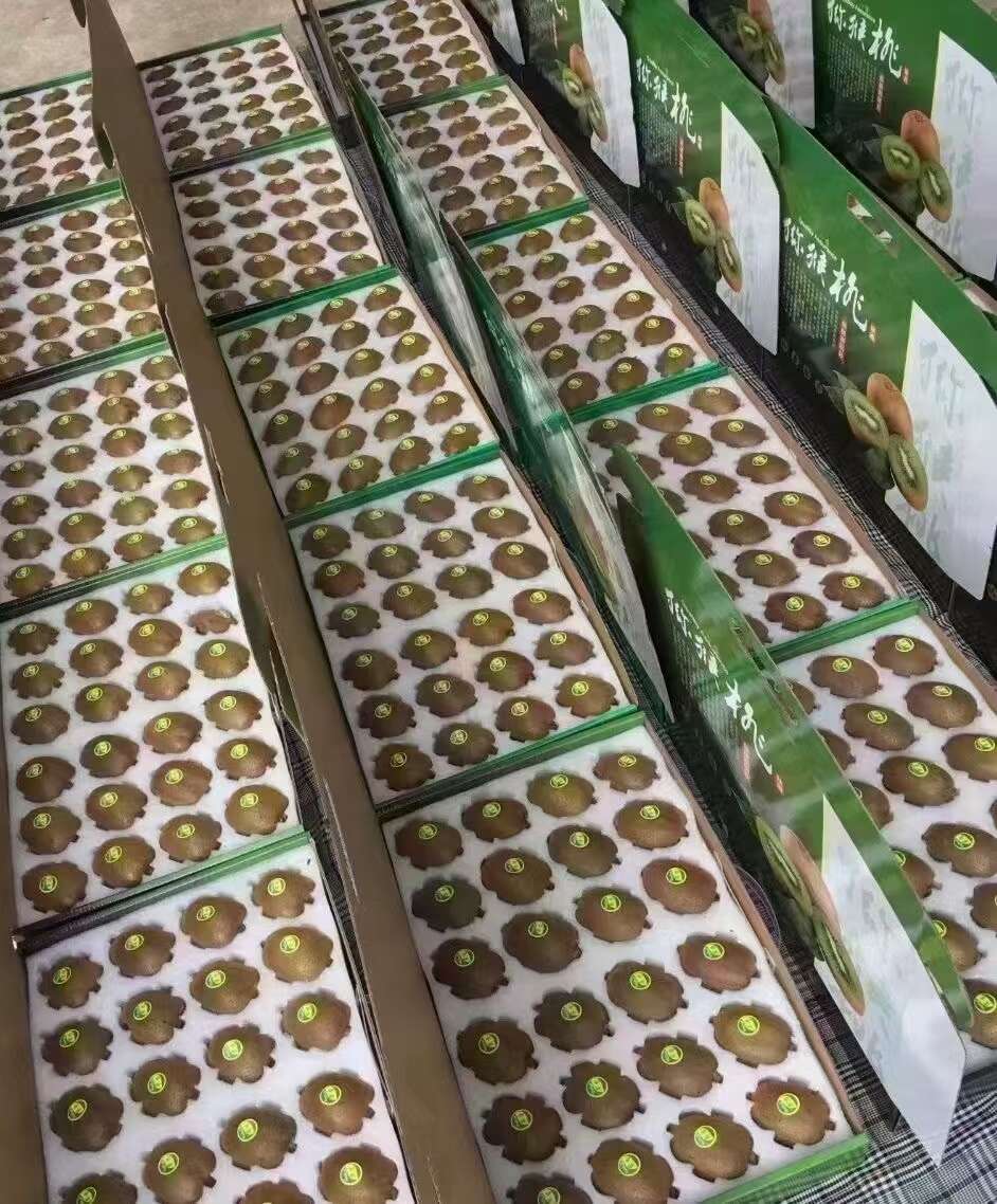 翠香猕猴桃周至猕猴桃中秋水果