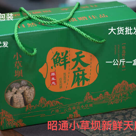 昆明2024昭通小草坝新鲜天麻上市，产地一手货源批发