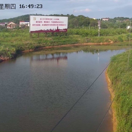 衡阳县果园转让