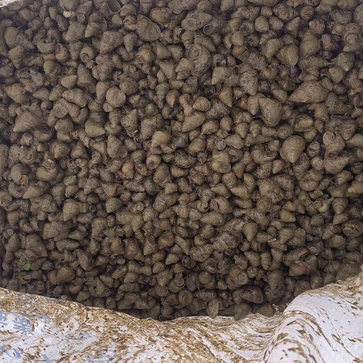 启东市水产