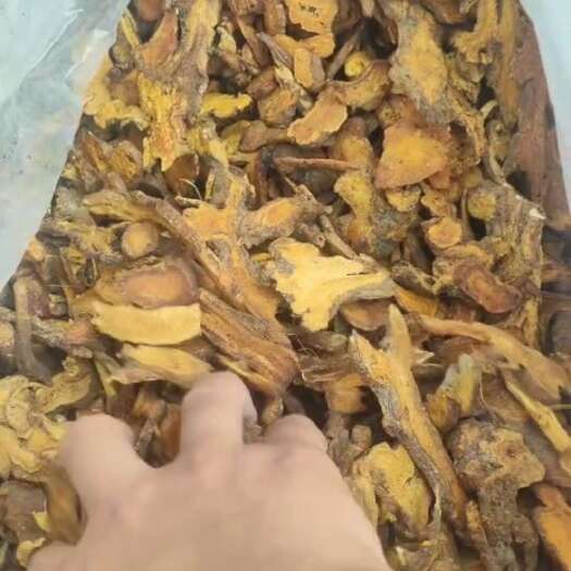 亳州白术（麦麸炒）