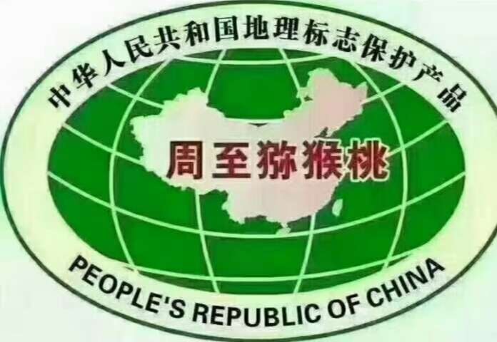 翠香猕猴桃周至猕猴桃中秋水果