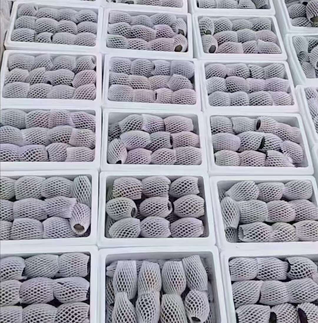 翠香猕猴桃周至猕猴桃中秋水果