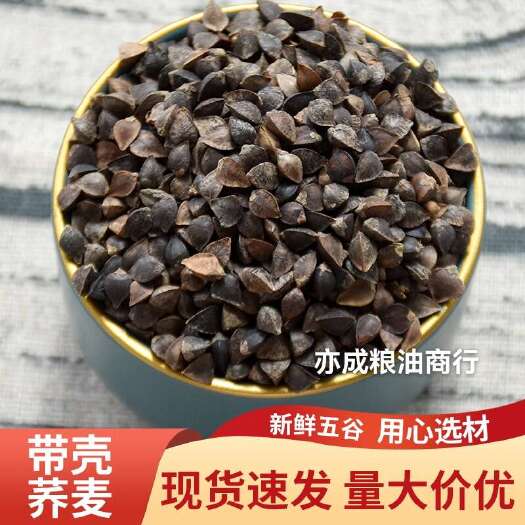 临沂带壳荞麦批发50斤 甜荞麦五谷杂粮杂粮发芽酿酒荞麦