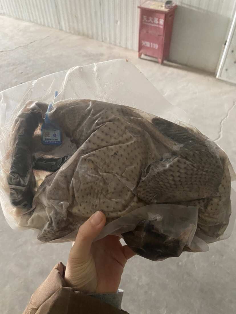 黑羽乌鸡