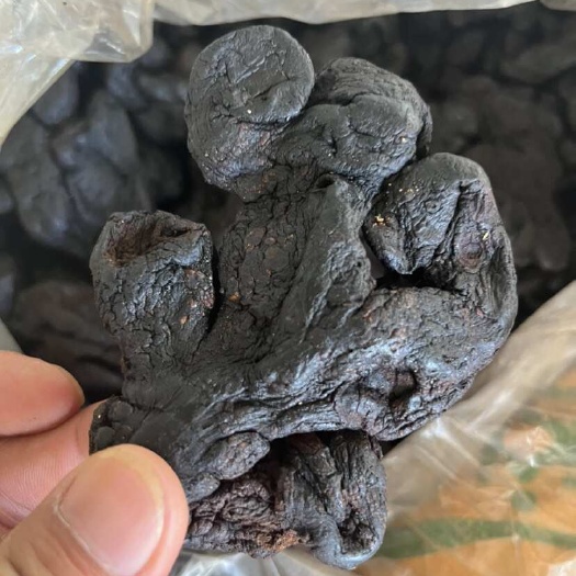 阳山县九制黄精