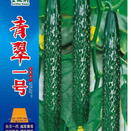 大连黄瓜种子，水黄瓜，