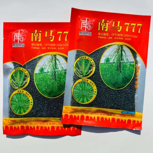 南马777油菜籽种子 南马矮油油菜种子 嘉油999油菜籽种子