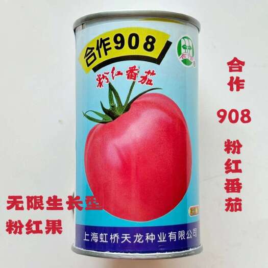 上海合作908粉红番茄种子大果有限生长型合作903粉红西红柿